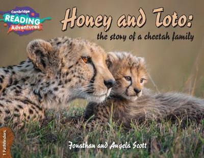 Cover of Cambridge Reading Adventures Honey and Toto: The Story of a Cheetah Family 1 Pathfinders