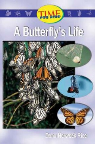 Cover of A Butterfly's Life