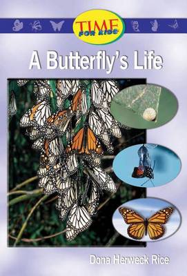 Book cover for A Butterfly's Life