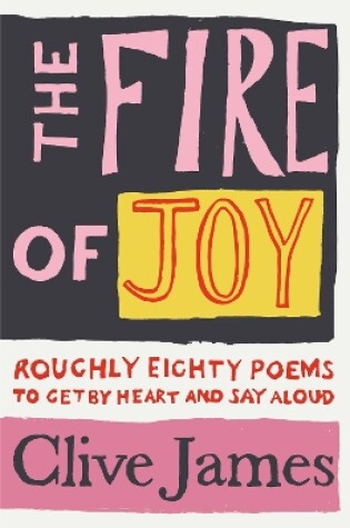 Cover of The Fire of Joy