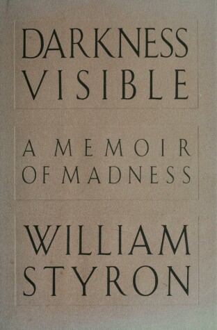 Book cover for Darkness Visible