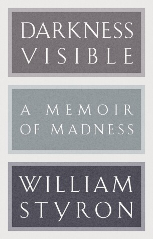 Book cover for Darkness Visible