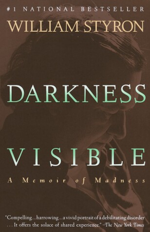 Book cover for Darkness Visible