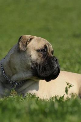 Book cover for Bullmastiff Dog Laying in the Grass Journal