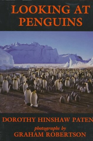 Cover of Looking at Penguins