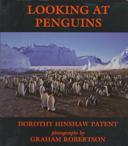 Book cover for Looking at Penguins