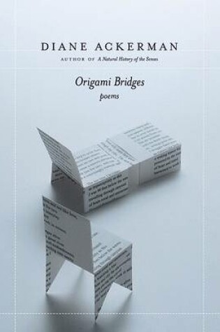 Cover of Origami Bridges