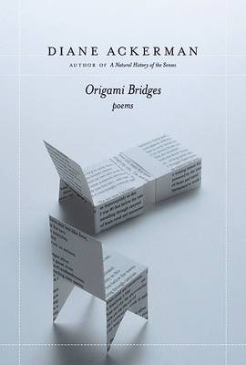 Book cover for Origami Bridges