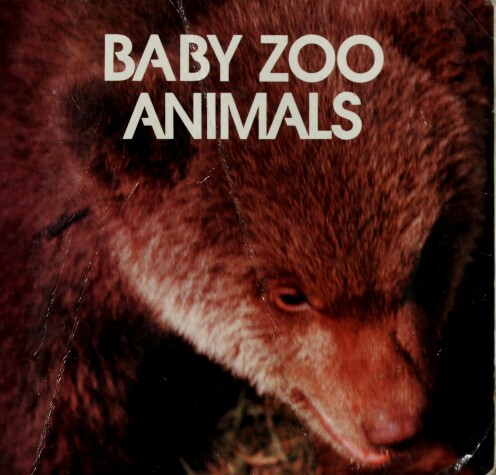 Book cover for Animal Info: Baby Zoo