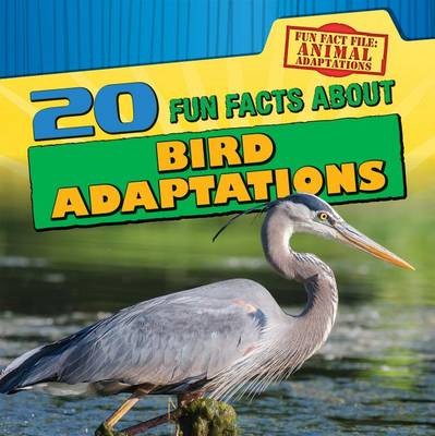Book cover for 20 Fun Facts about Bird Adaptations