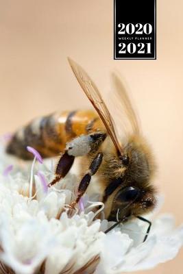 Book cover for Bee Insects Beekeeping Beekeeper Week Planner Weekly Organizer Calendar 2020 / 2021 - White Cluster Flower