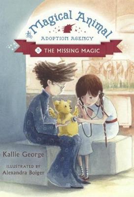 Cover of The Missing Magic