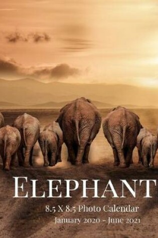 Cover of Elephants 8.5 X 8.5 Photo Calendar January 2020 - June 2021