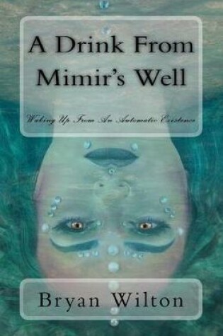 Cover of A Drink from Mimir's Well