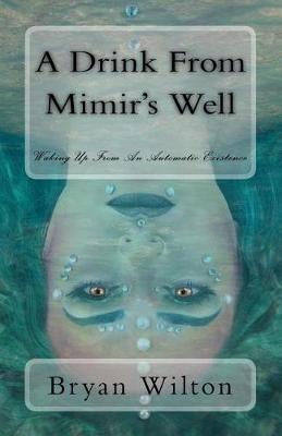 Book cover for A Drink from Mimir's Well