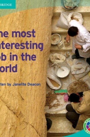 Cover of The Most Interesting Job in the World