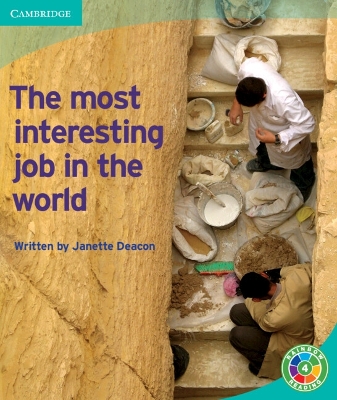 Book cover for The Most Interesting Job in the World