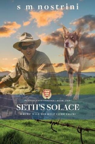 Cover of Seth's Solace