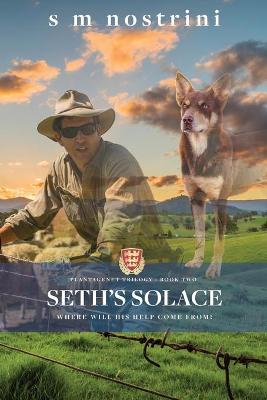Book cover for Seth's Solace