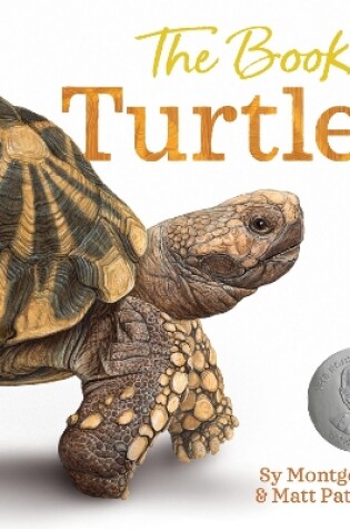 Cover of The Book of Turtles