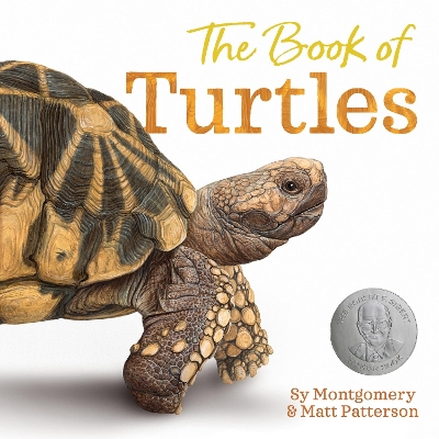 Book cover for The Book of Turtles