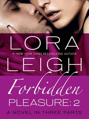 Book cover for Forbidden Pleasure: Part 2