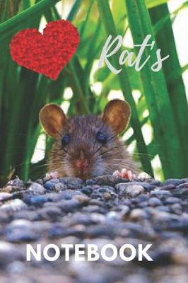 Book cover for Rat Notebook