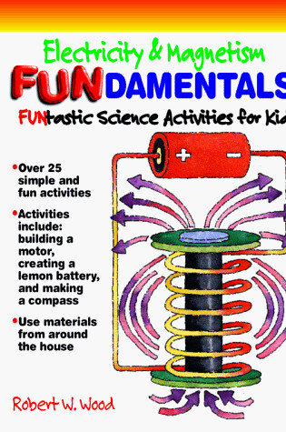 Cover of Electricity and Magnetism FUNdamentals