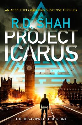 Cover of Project Icarus