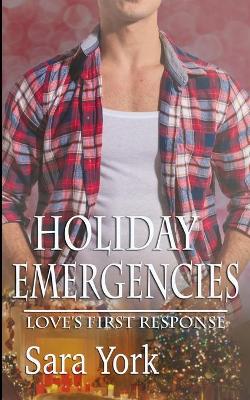 Book cover for Holiday Emergencies