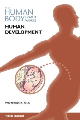 Book cover for Human Development