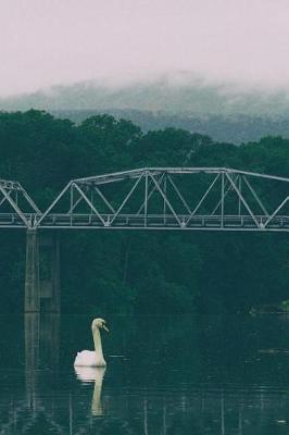 Book cover for Swan Under Steel Bridge