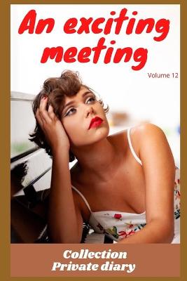 Book cover for An exciting meeting (volume 12)