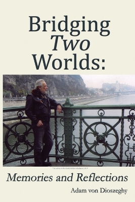 Book cover for Bridging Two Worlds