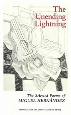 Book cover for The Unending Lightning