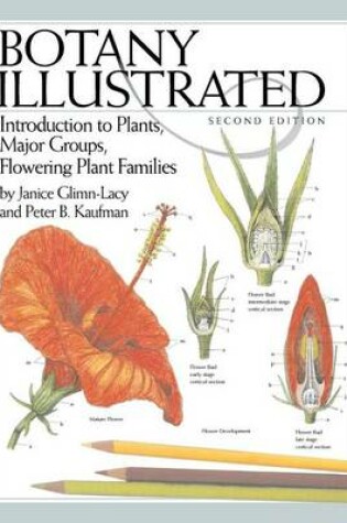 Cover of Botany Illustrated: Introduction to Plants, Major Groups, Flowering Plant Families