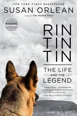 Book cover for Rin Tin Tin