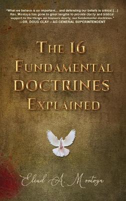 Book cover for The Fundamental Doctrines Explained