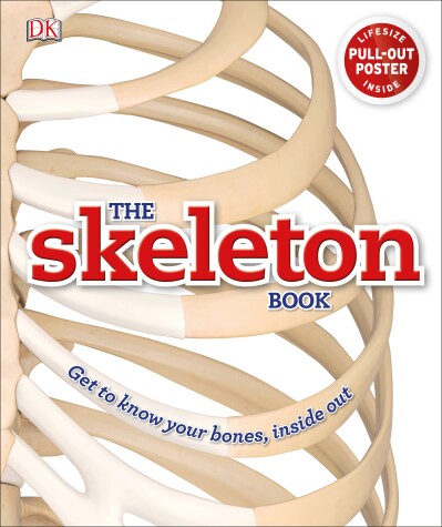 Book cover for The Skeleton Book