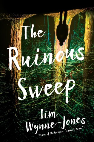 Cover of The Ruinous Sweep