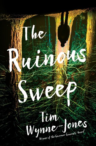 The Ruinous Sweep by Wynne-Jones Tim