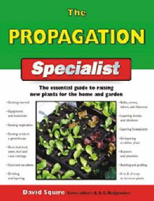 Book cover for The Propagation Specialist