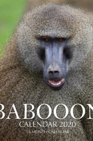 Cover of Baboon Calendar 2020