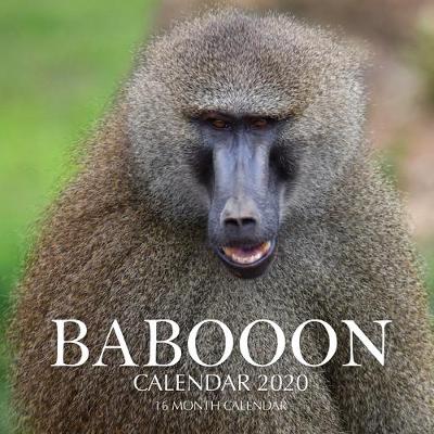 Book cover for Baboon Calendar 2020