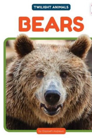 Cover of Bears