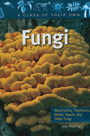 Cover of Fungi