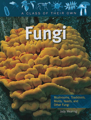 Cover of Fungi