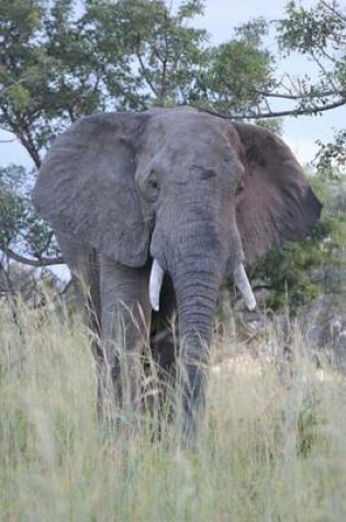 Cover of Male Elephant in the Tall Grass Journal