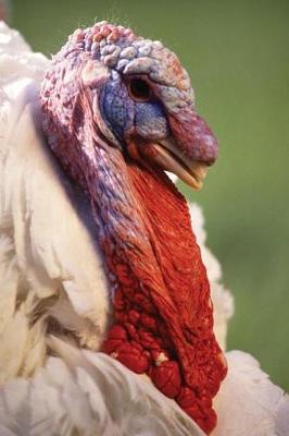 Book cover for Farm Journal White Turkey Face Close Up