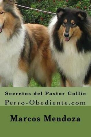 Cover of Secretos del Pastor Collie